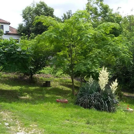 Casa de hóspedes къща под наем Petrova *