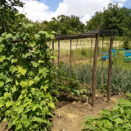 Casa de hóspedes къща под наем Petrova Cherven (Ruse)