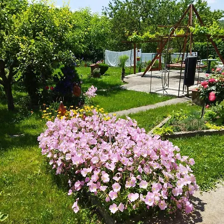 къща под наем Petrova