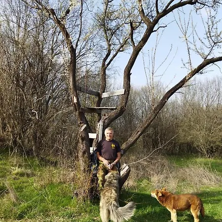 къща под наем Petrova Casa de hóspedes