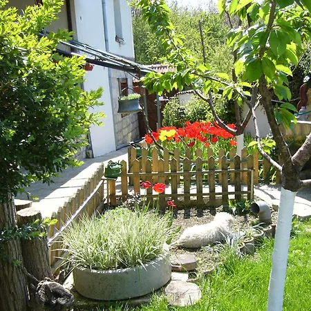 къща под наем Petrova *