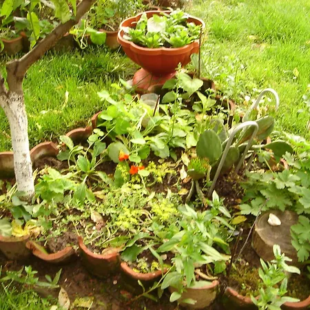 къща под наем Petrova Cherven (Ruse)