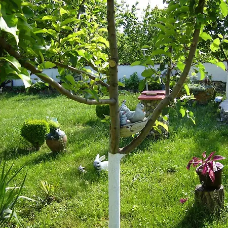 къща под наем Petrova * Cherven (Ruse)