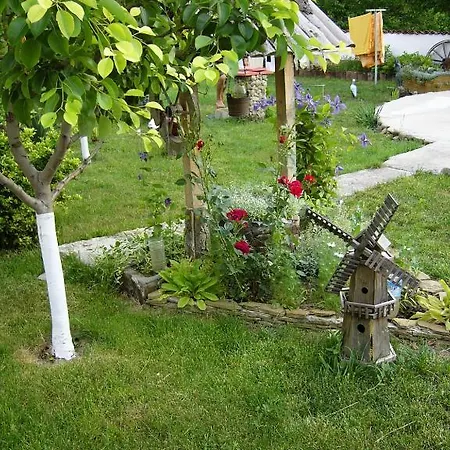 къща под наем Petrova