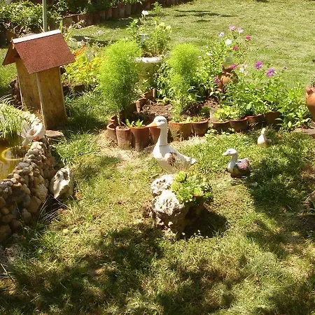 Casa de hóspedes къща под наем Petrova