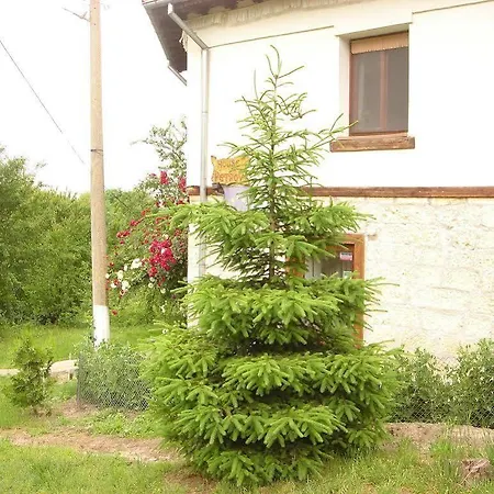 къща под наем Petrova Cherven (Ruse)