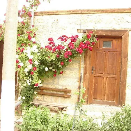 къща под наем Petrova *